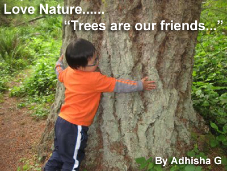 Essay on trees our best friend